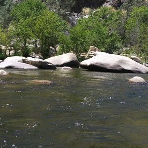 Meet your Posher, Davina